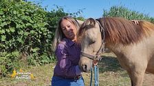 Elisa e il suo pony Sisco