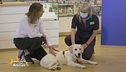 Consigli da pet lover a pet lover