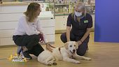 Consigli da pet lover a pet lover