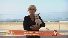 Leon, l'amico peloso di Floriana Secondi