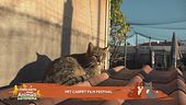La quinta edizione del Pet Carpet Film Festival