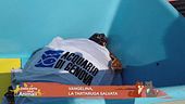 Vangelina, la tartaruga marina soccorsa e salvata