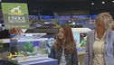 Il primo acquario: le informazioni essenziali
