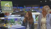 Il primo acquario: le informazioni essenziali
