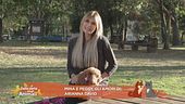 Mina e Peggy, gli amori di: Arianna David