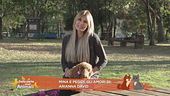 Mina e Peggy, gli amori di: Arianna David