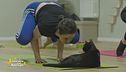 Yoga e gatti