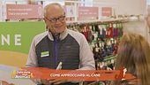 Come approcciarsi al cane