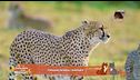 Notizie dal mondo con Lucky e i vostri video
