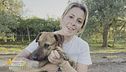 Willy, il cagnolino rinchiuso in un pozzo