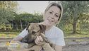 Willy, il cagnolino rinchiuso in un pozzo