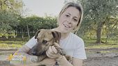 Willy, il cagnolino rinchiuso in un pozzo