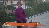 "Stella, lo sai che anche i conigli fanno le fusa?"