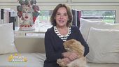 L'amico a quattro zampe di... Patrizia Mirigliani