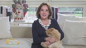 L'amico a quattro zampe di... Patrizia Mirigliani