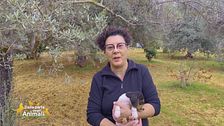 La storia di Mariella Blanco
