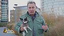 Iggy, la vera star di Rachele e Ringo