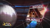 Notizie dal mondo con Lucky