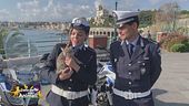 Il salvataggio di Swift
