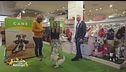 E' utile portare in cane da un educatore cinofilo?