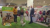 E' utile portare in cane da un educatore cinofilo?
