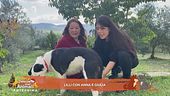 Lilli, tornata a casa dopo l'appello trasmesso da Dalla parte degli animali