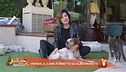 Venghi, il cane furbetto di Alba Parietti