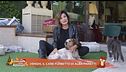 Venghi, il cane furbetto di Alba Parietti