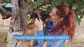 Un anno con Leidaa