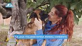 Un anno con Leidaa
