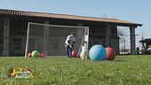 Lo sport con gli animali