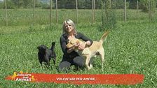 Volontari per amore