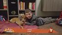 Come si dice ti voglio bene nella lingua dei cani?