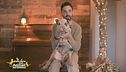 Pumba, il maialino star del web