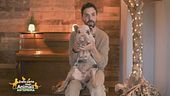 Pumba, il maialino star del web