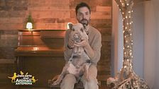 Pumba, il maialino star del web