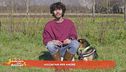 Volontari per amore