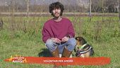 Volontari per amore
