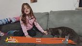 Perchè i gatti si fanno le unghie sul divano?