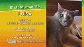 E' stata smarrita Luisa