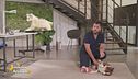 Casa sana: consigli per vivere serenamente con il nostro quattro zampe