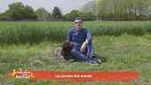 Volontari per amore