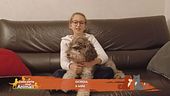 Le domande dei bambini