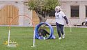 Cosa è l'hoopers?