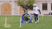 Cosa è l'hoopers?