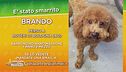 Brando, perso a Bologna