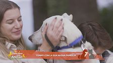 Tommy con la sua nuova famiglia