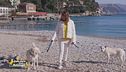 Santa Margherita ligure, una città pet friendly