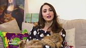 I gatti di Chiara Francini