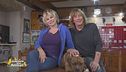 Gli amici pelosi di Carmen Russo e Enzo Paolo Turchi
